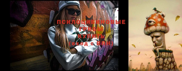 спайс Абинск